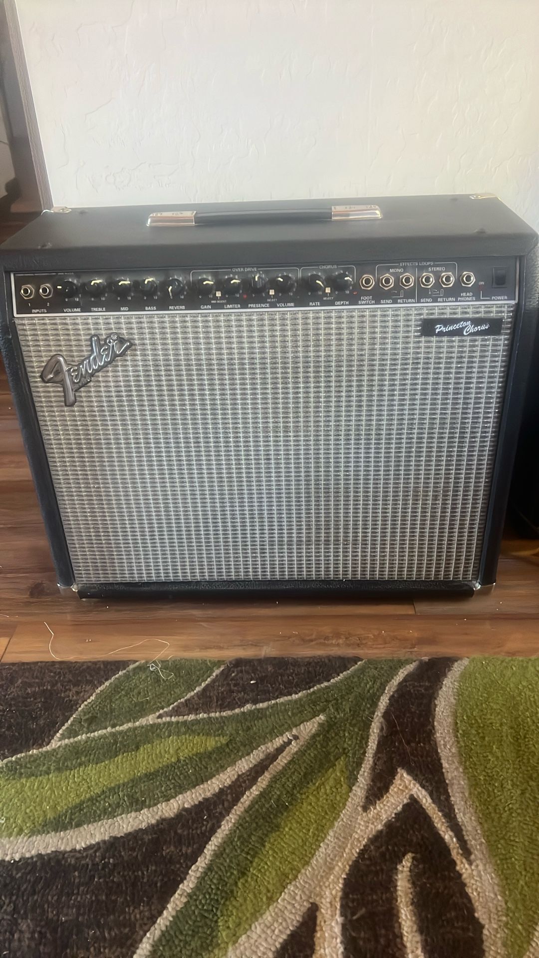 Fender Acoustic Elec Guitar And fender Princeton Chorus Amp