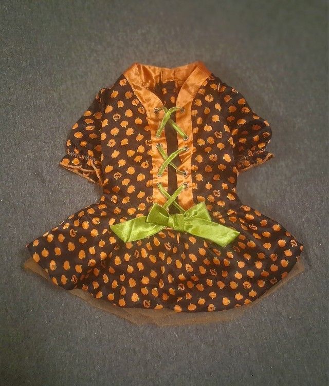 Halloween Pet Costume