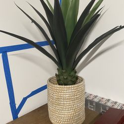 House Plant (not real)