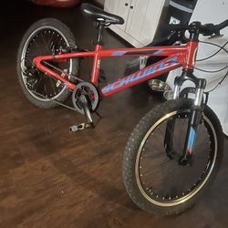 Schwinn Small Child Bike 25.00