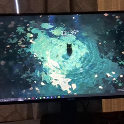 Computer Monitor 