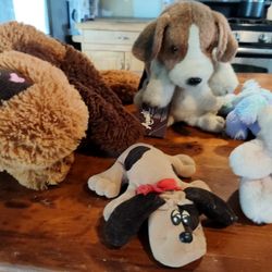 Stuffed Animals Lot's Of 10 $90. BO House Pickup 
