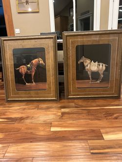 2 Professionally Framed Portraits of “Asian Equus I” &  “Asian Equus II” 30x34”