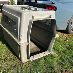 Free Dog — Kennel See Description