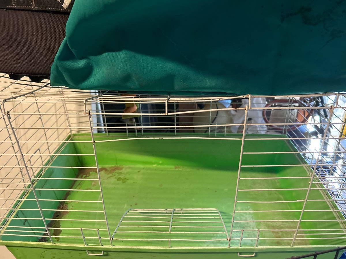 Guinea Pig And Bunny Cage