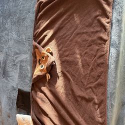 Tiger And monkey Toddler Towel 