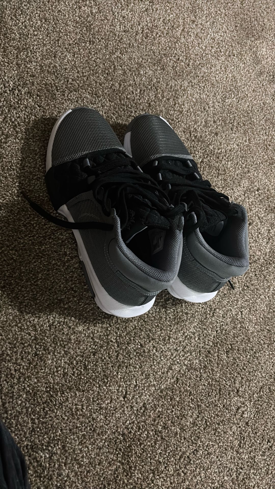 LeBron witness 8