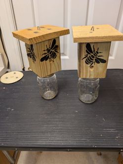 Carpenter Bee Catcher