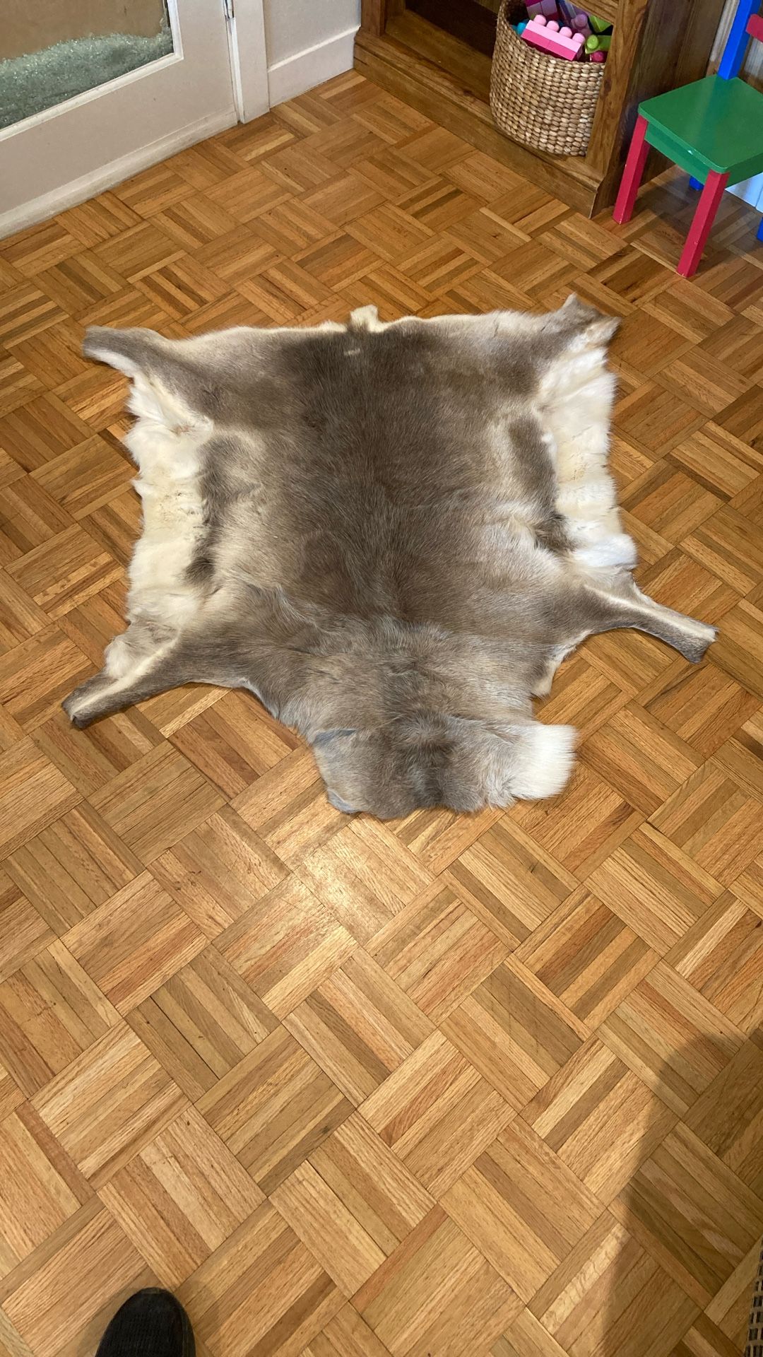 Reindeer Fur pelt