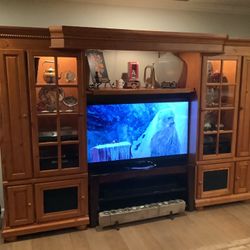 Pine Entertainment And Glass Selves 