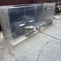55 Gallons Flexi Truvu Fish Tank Full Setup 
