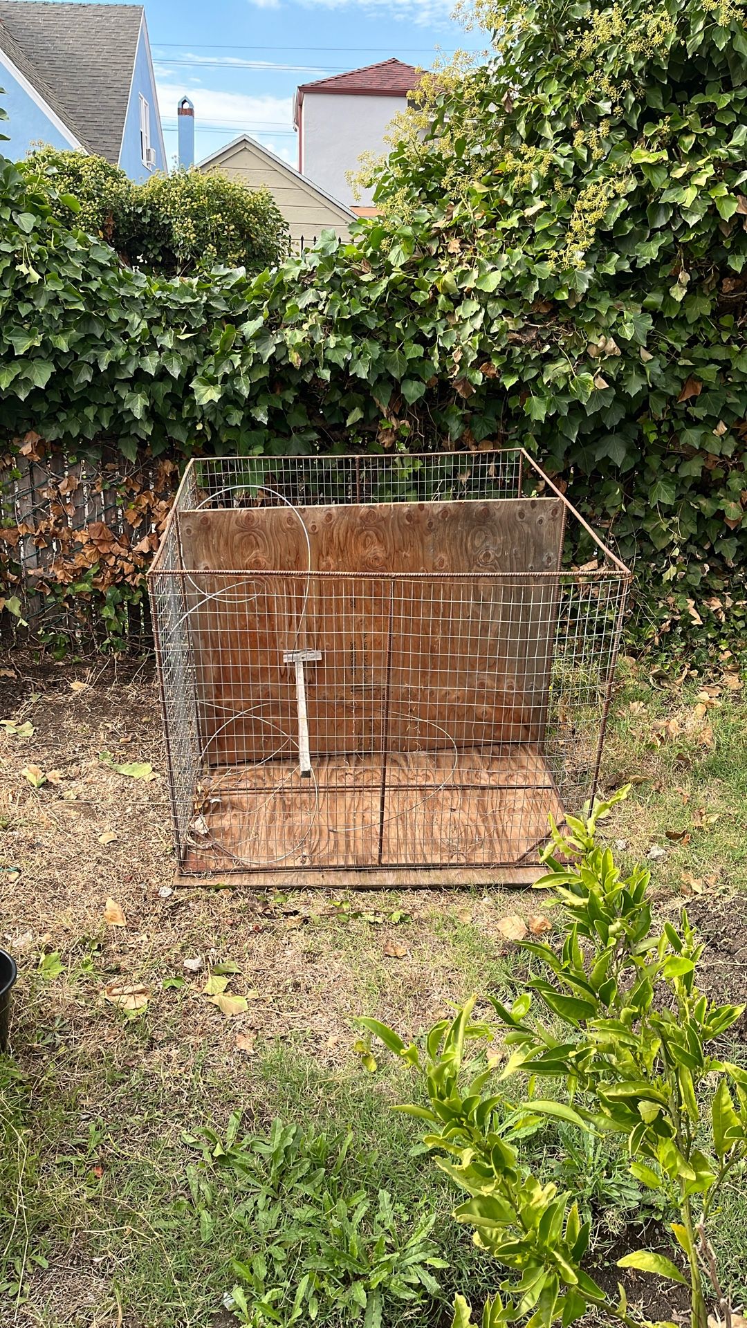 Cage For Chicks