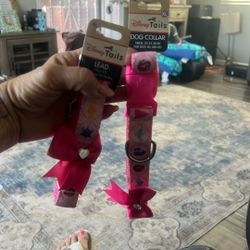 Disney dog collar and leash…