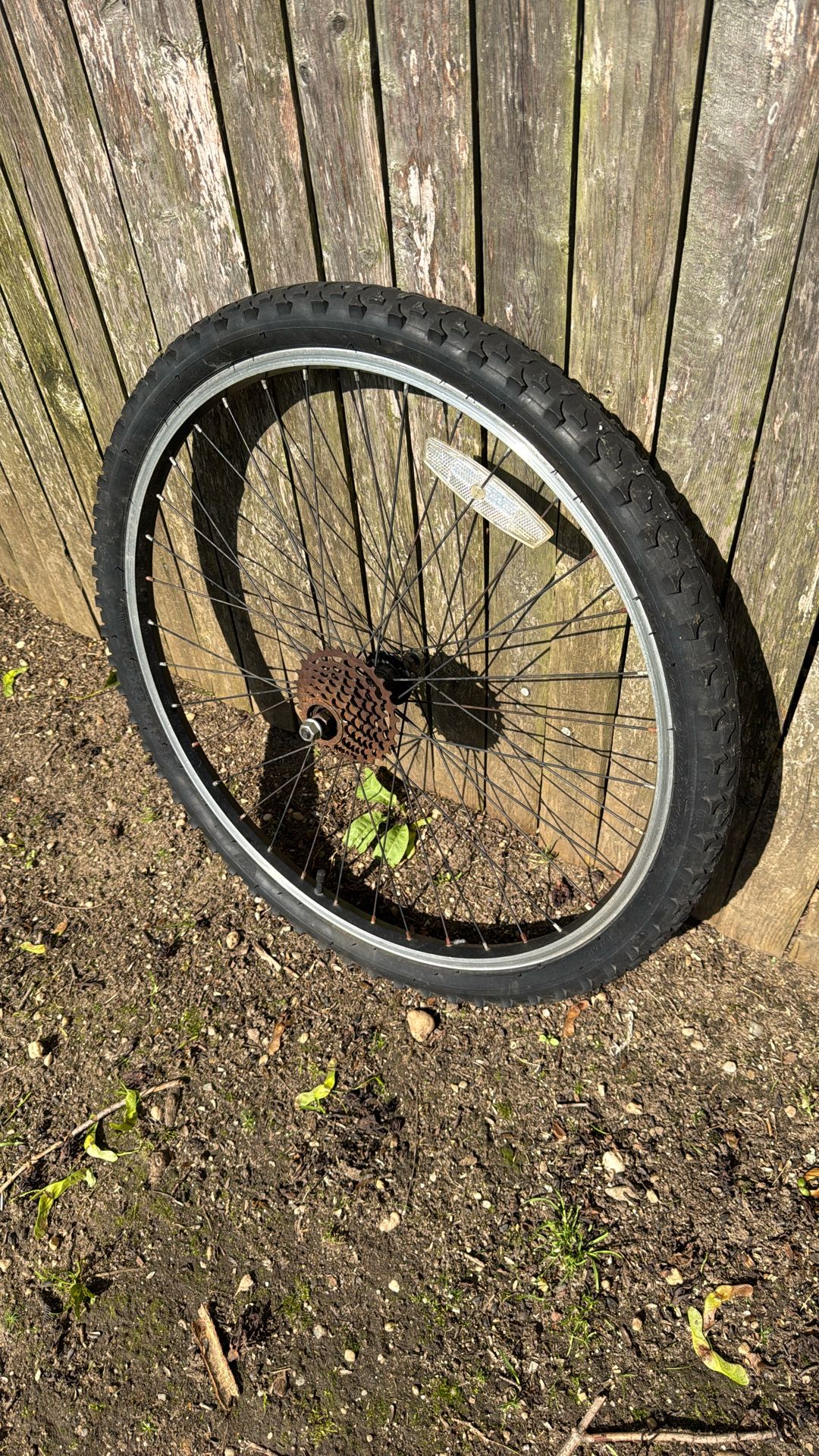 Bicycle Rear Wheel