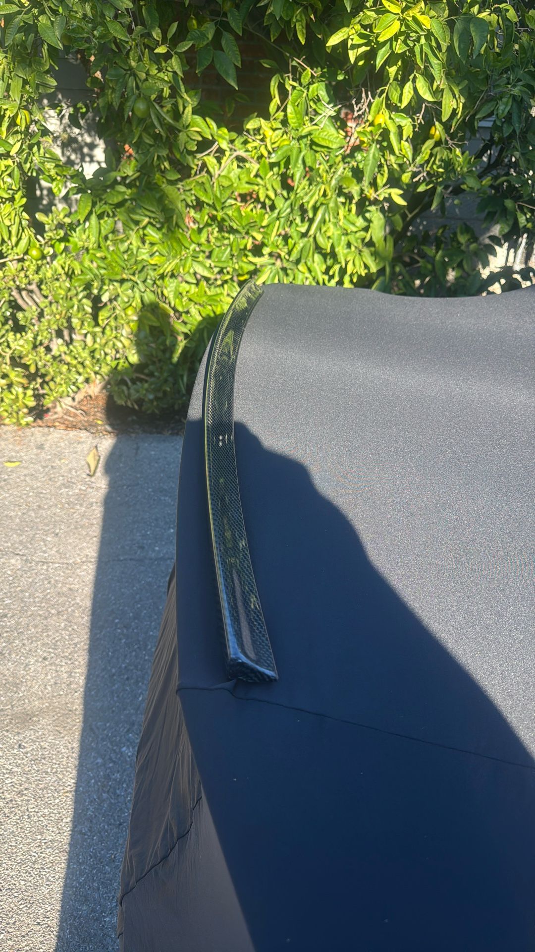 carbin fiber truck lip mustang