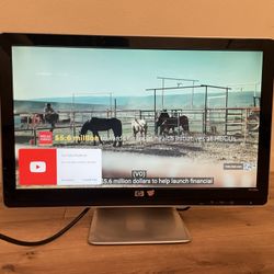 HP MONITOR $25