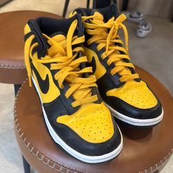 Nike Dunks size 8