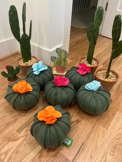 Cactus Decor