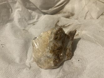 Rocks For Sale 20 Dollars For All