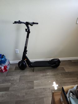 Bird Scooter.
