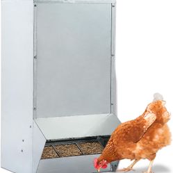 Heavy-Duty Outdoor Chicken Feeder – 50lb Capacity – Galvanized Metal