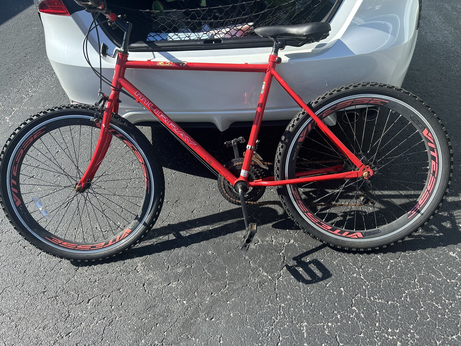 Adult Bike