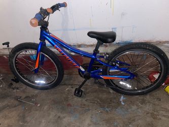 Specialized bike