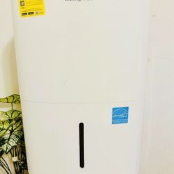 Honeywell Dehumidifier 