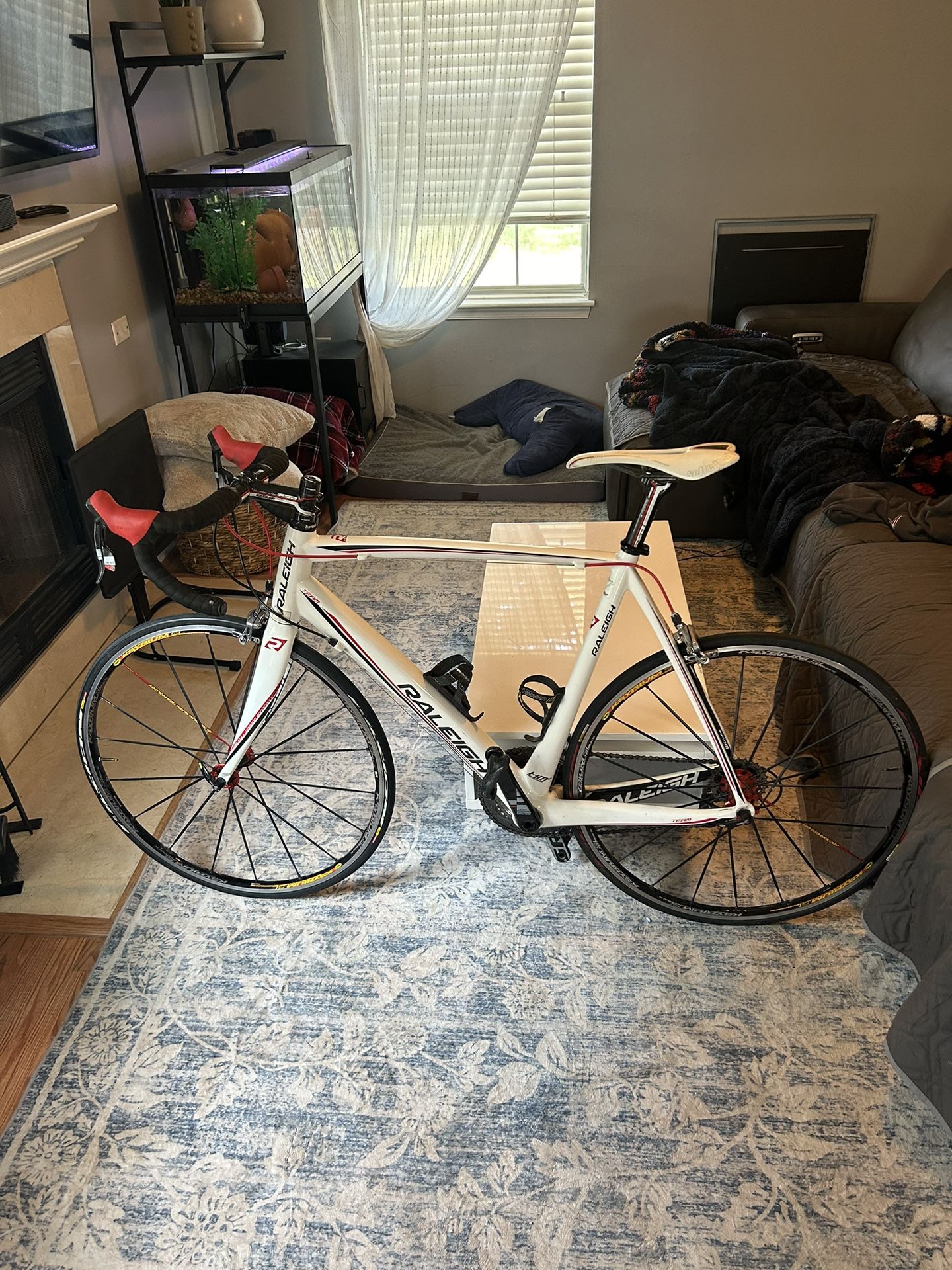 Team Raleigh Road Bike