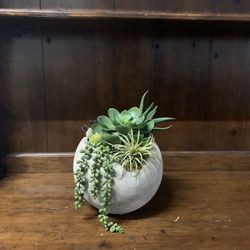 Domicile Fake Plants 