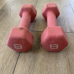 8 Lb Dumbbells 