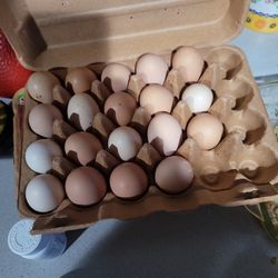 Free Ranch Eggs 