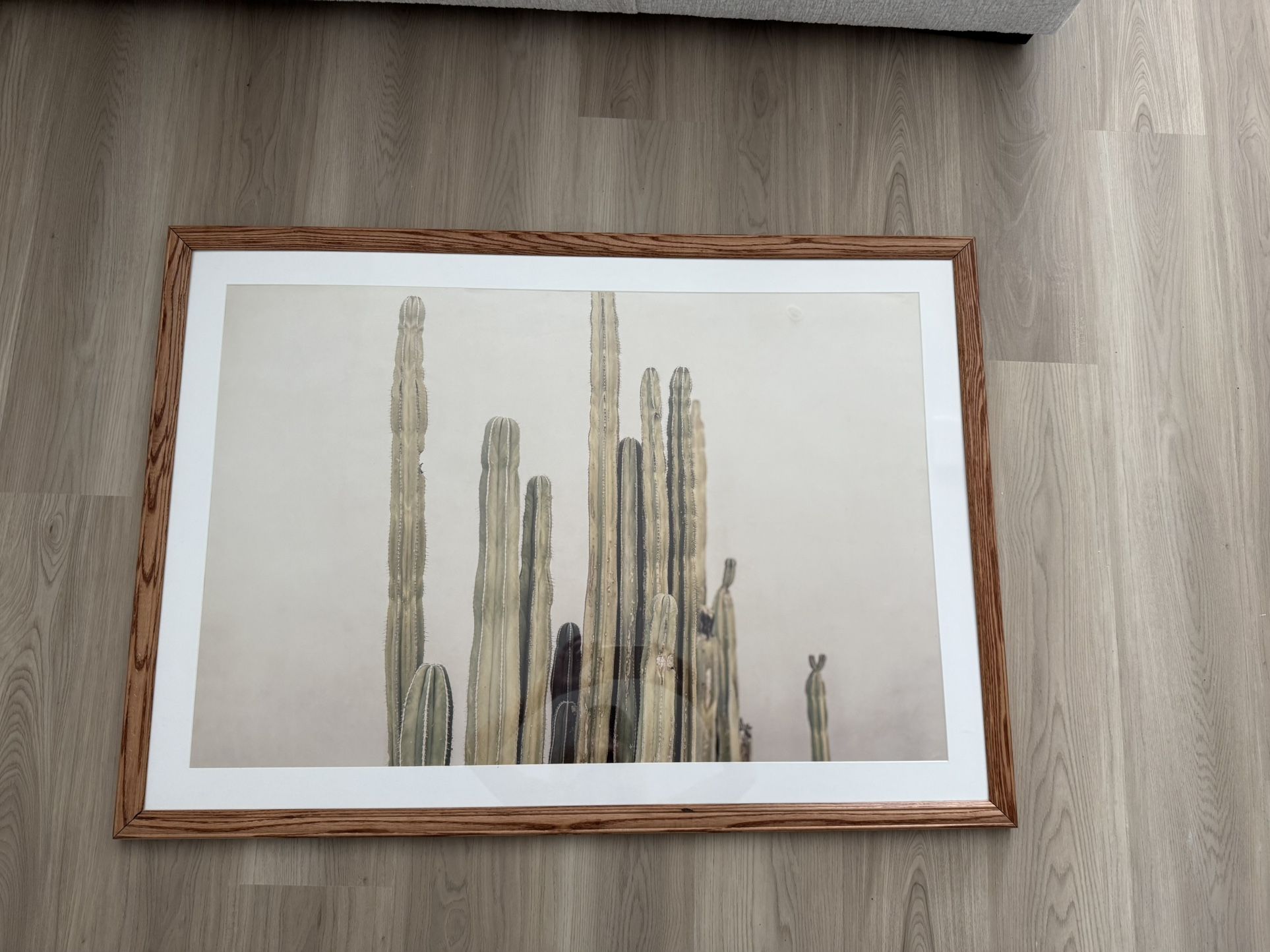 Large Framed Cactus Art Print – 42” x 30”