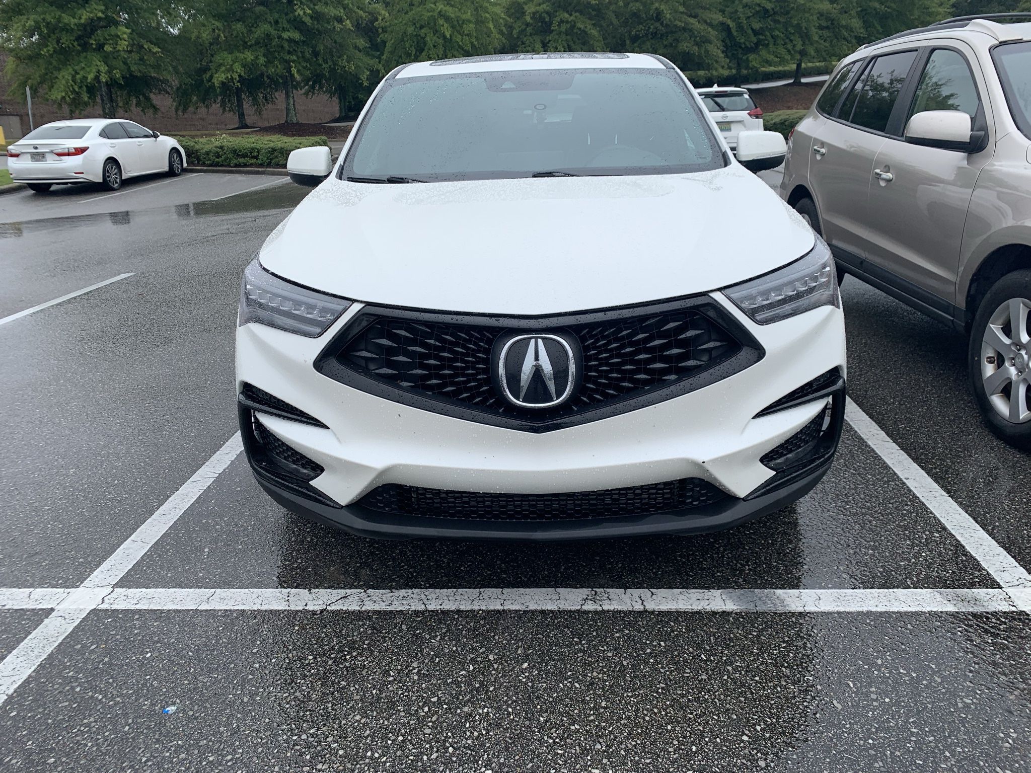 2019 Acura RDX