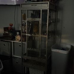Bird Cage