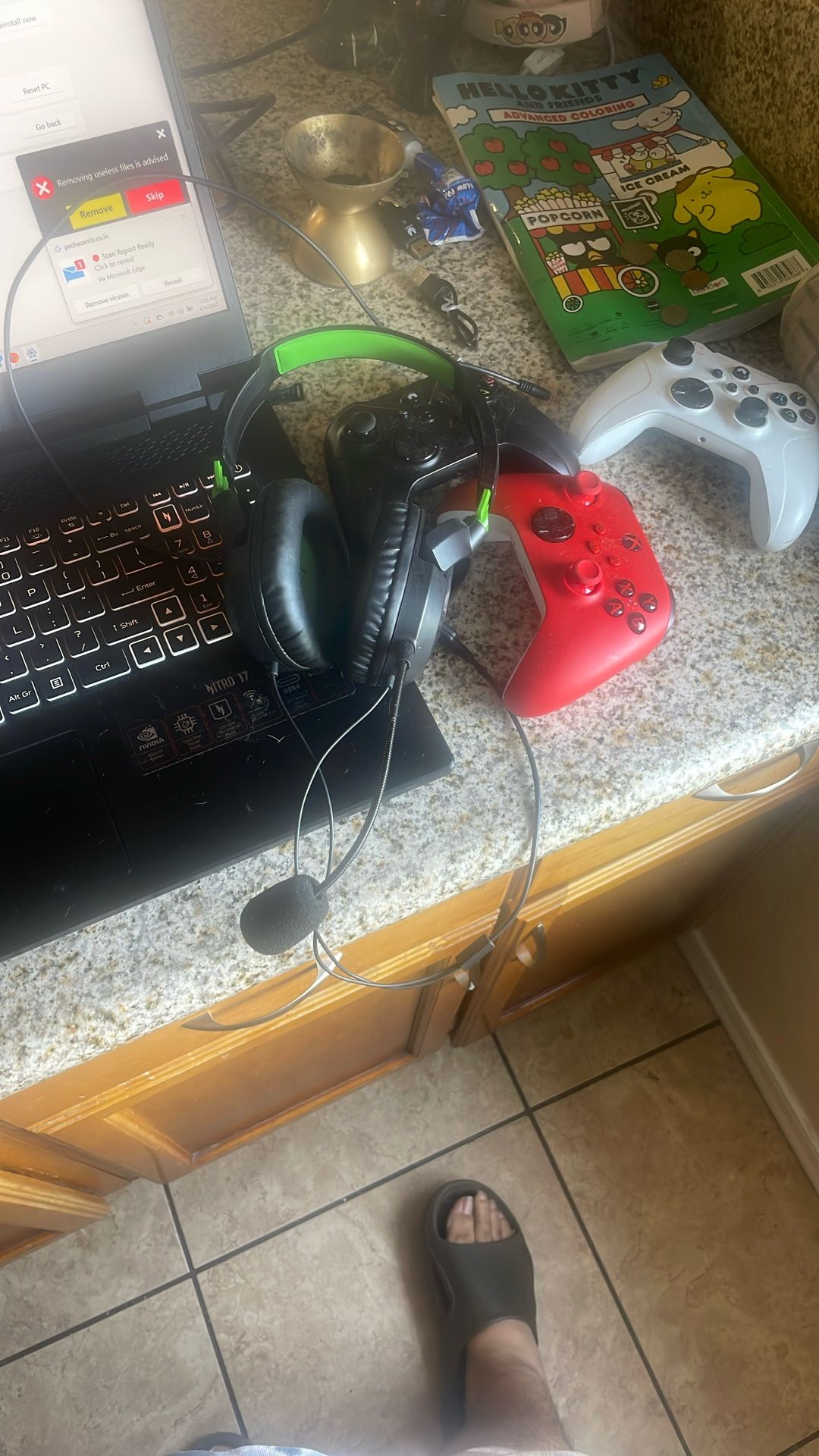 Turtle Beaches