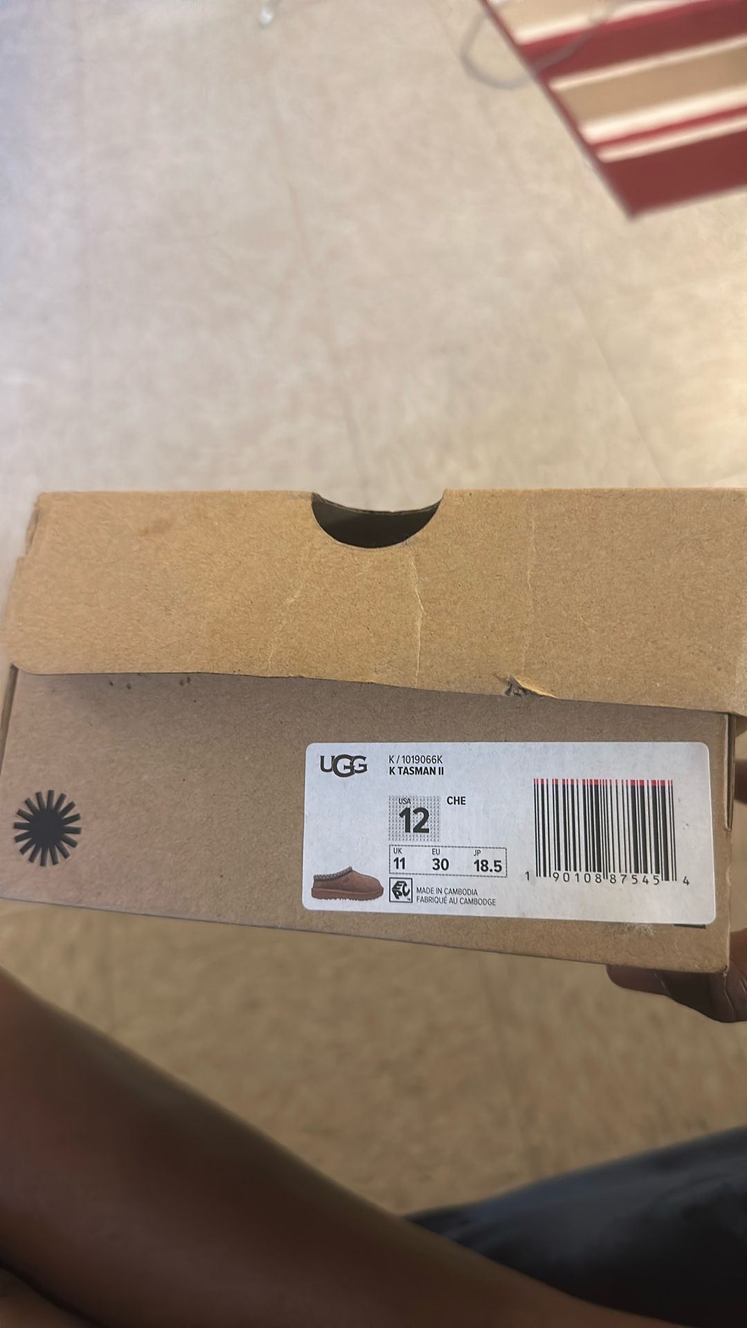  Chestnut Ugg Tasmans 