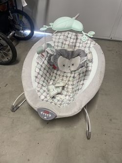 Baby Bouncy Chair