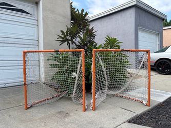 Lacrosse net pair