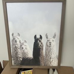 Framed Llama Poster