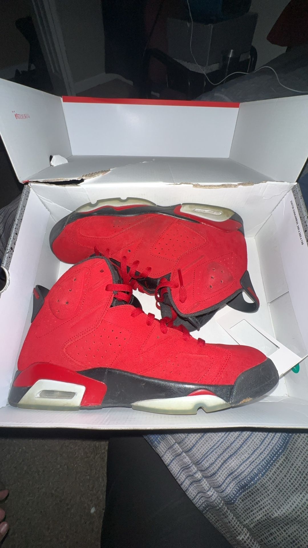 Jordan 6 Toro Bravo