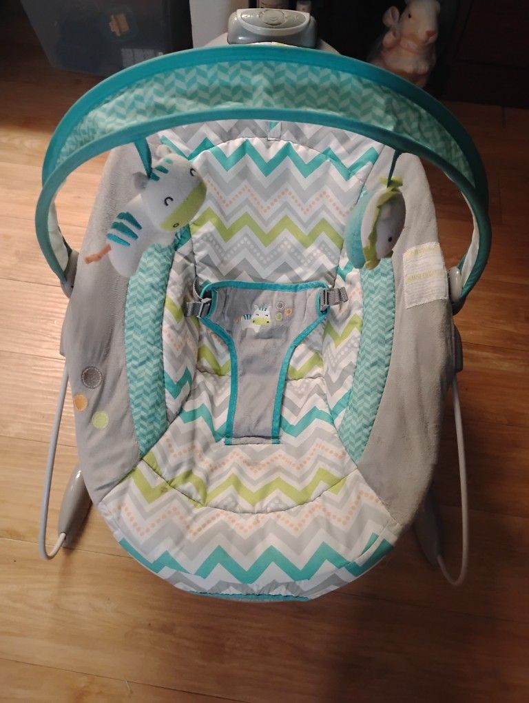 Baby Bouncer