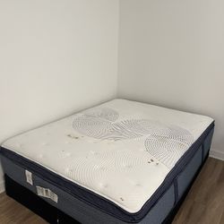 Mattress + Box Spring