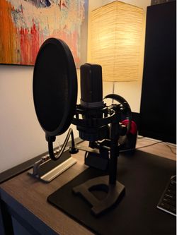 AKG Condenser Microphone