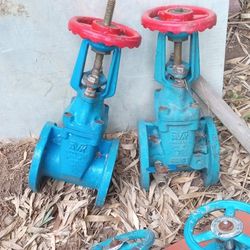 Main Gate Valve