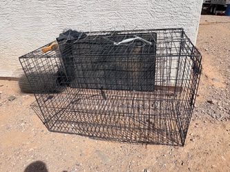 Big dog cage
