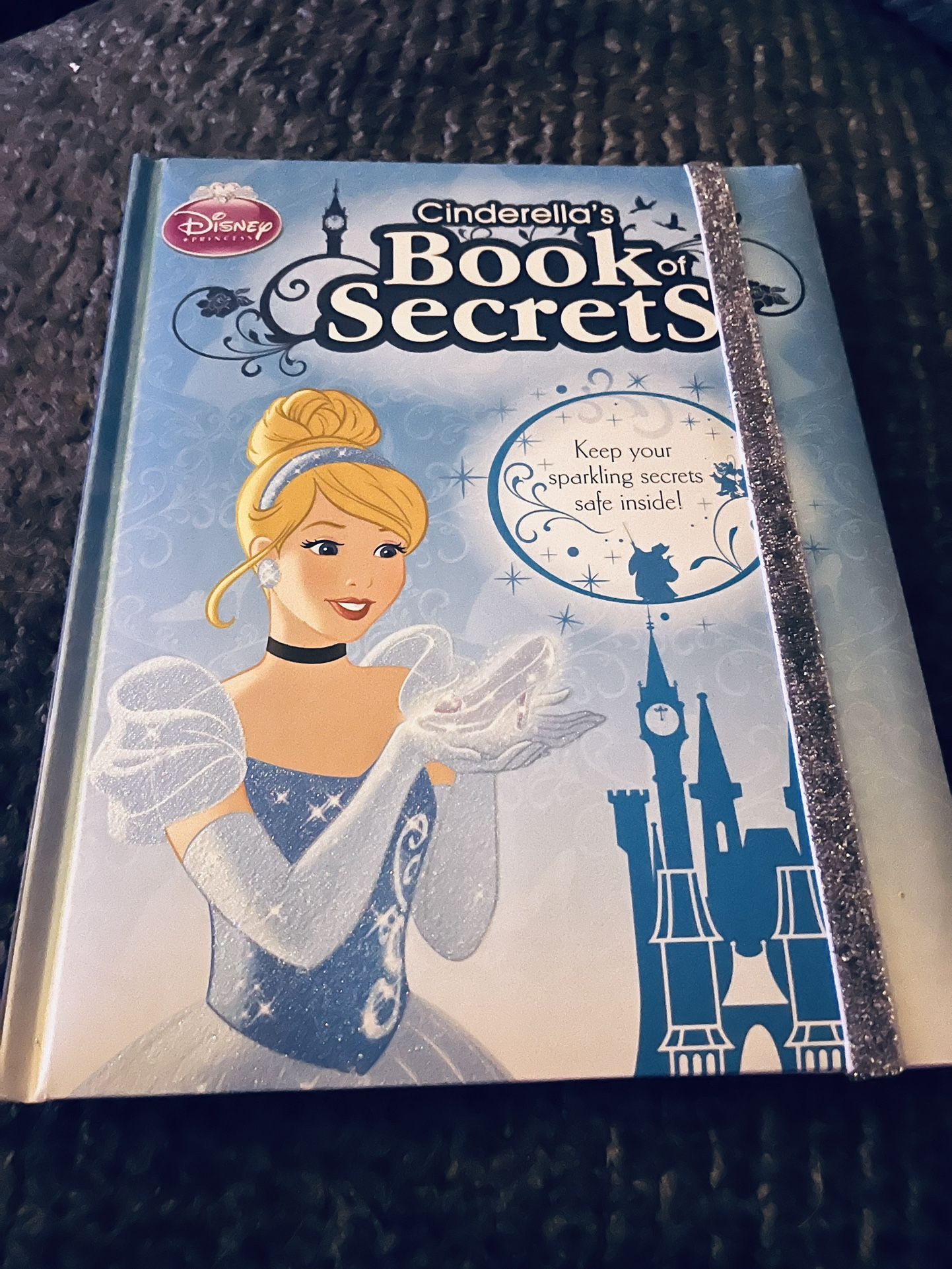 Cinderella book of secrets book