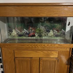 55 Gal Fish Tank 