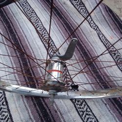 Schwinn 24-Inch Back Rim