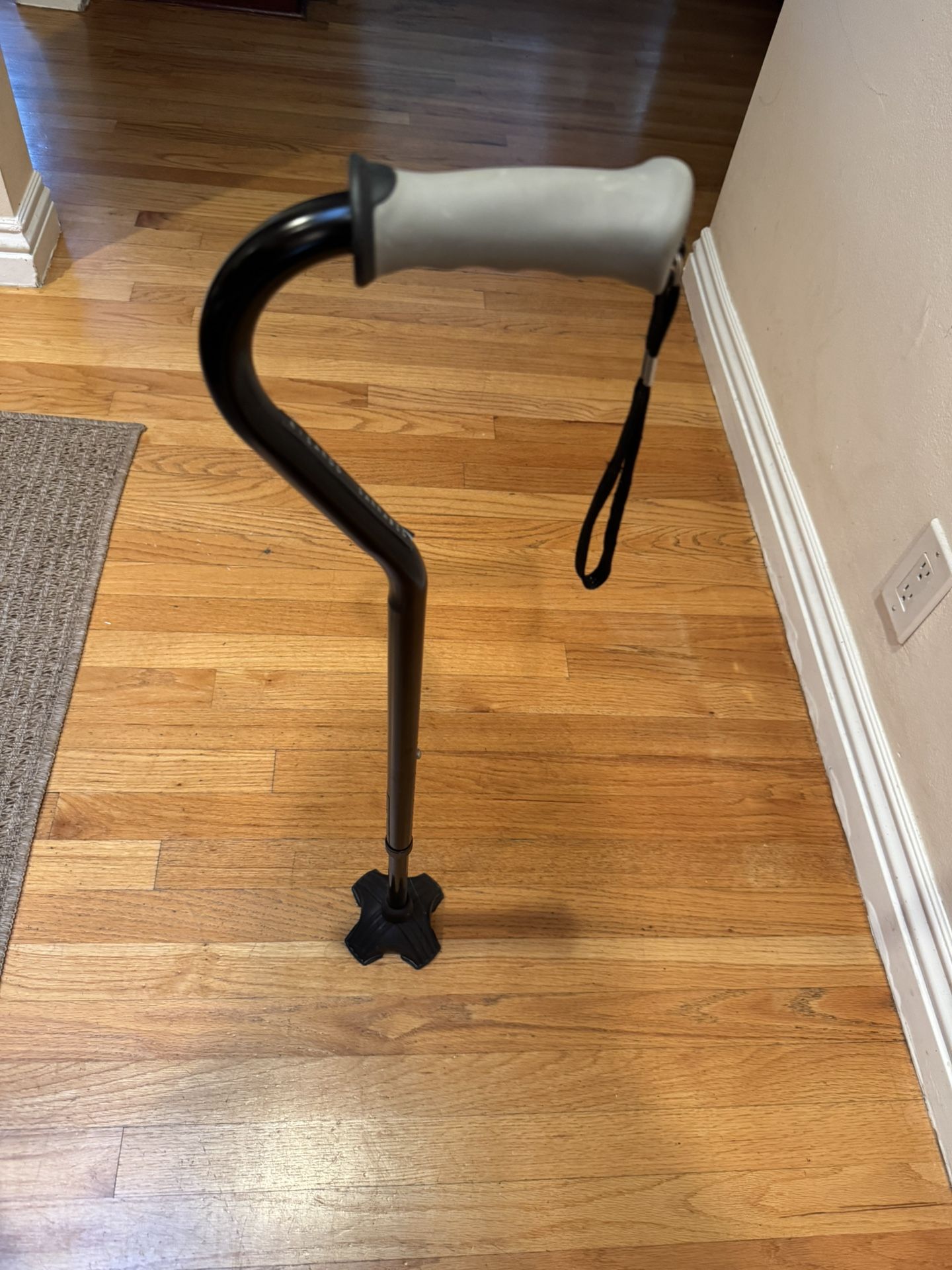 Walking Cane